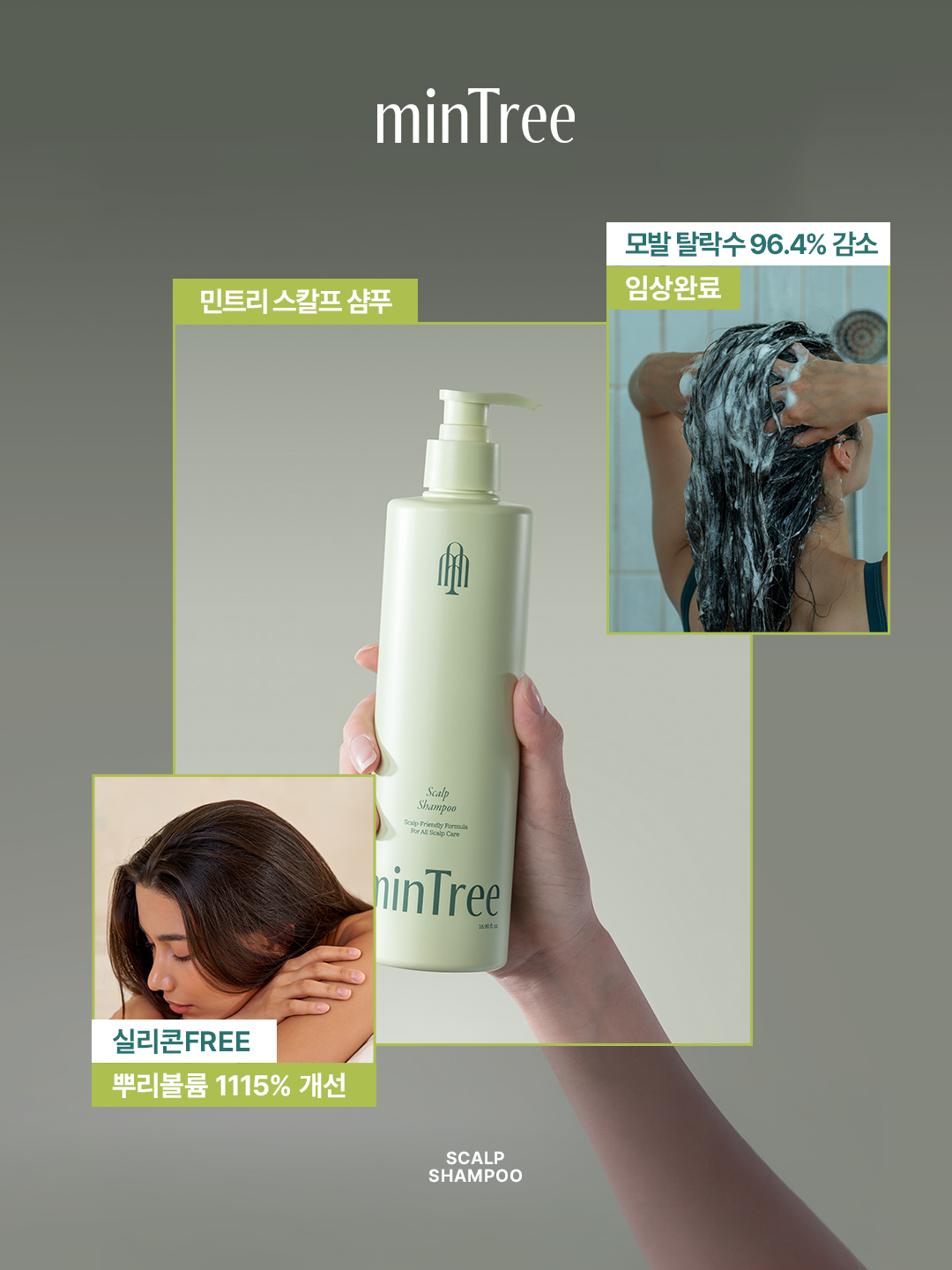 mintree_official 品牌动态