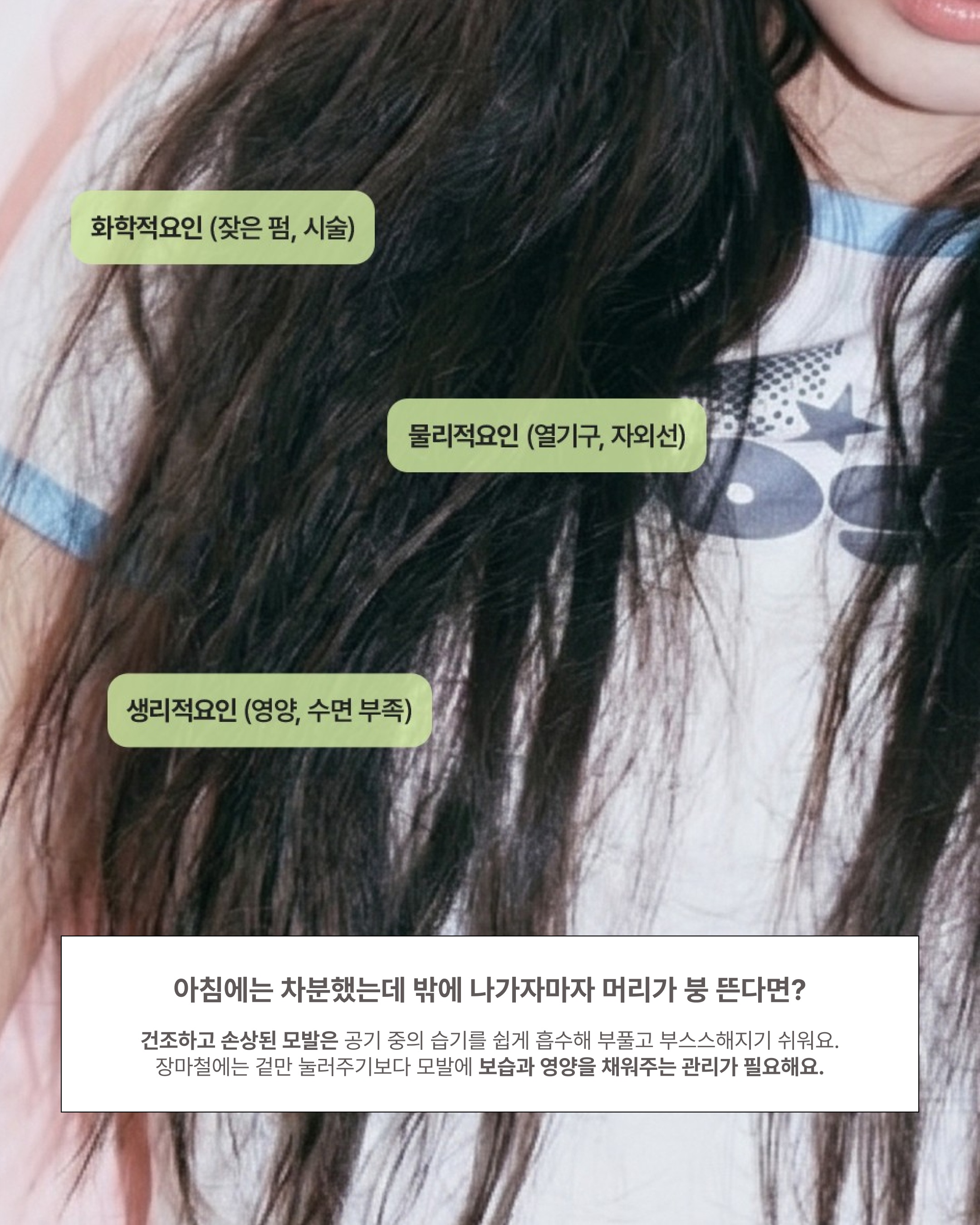 ohype_korea 品牌动态图片