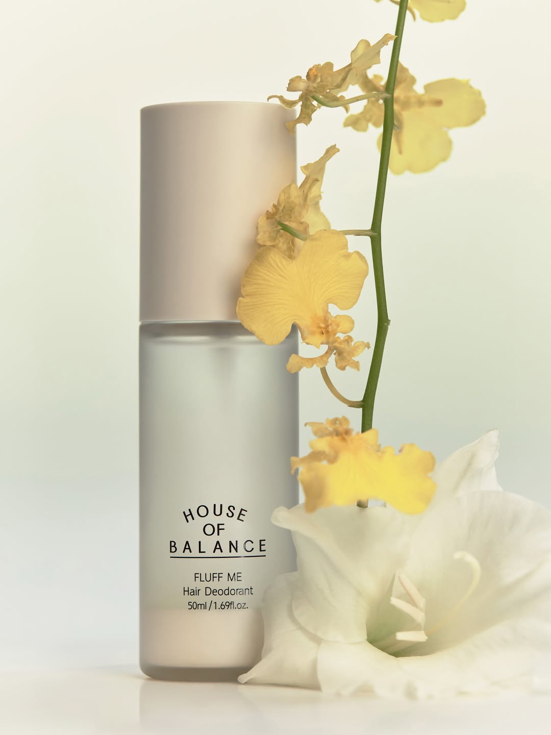 houseofbalance.global 品牌动态