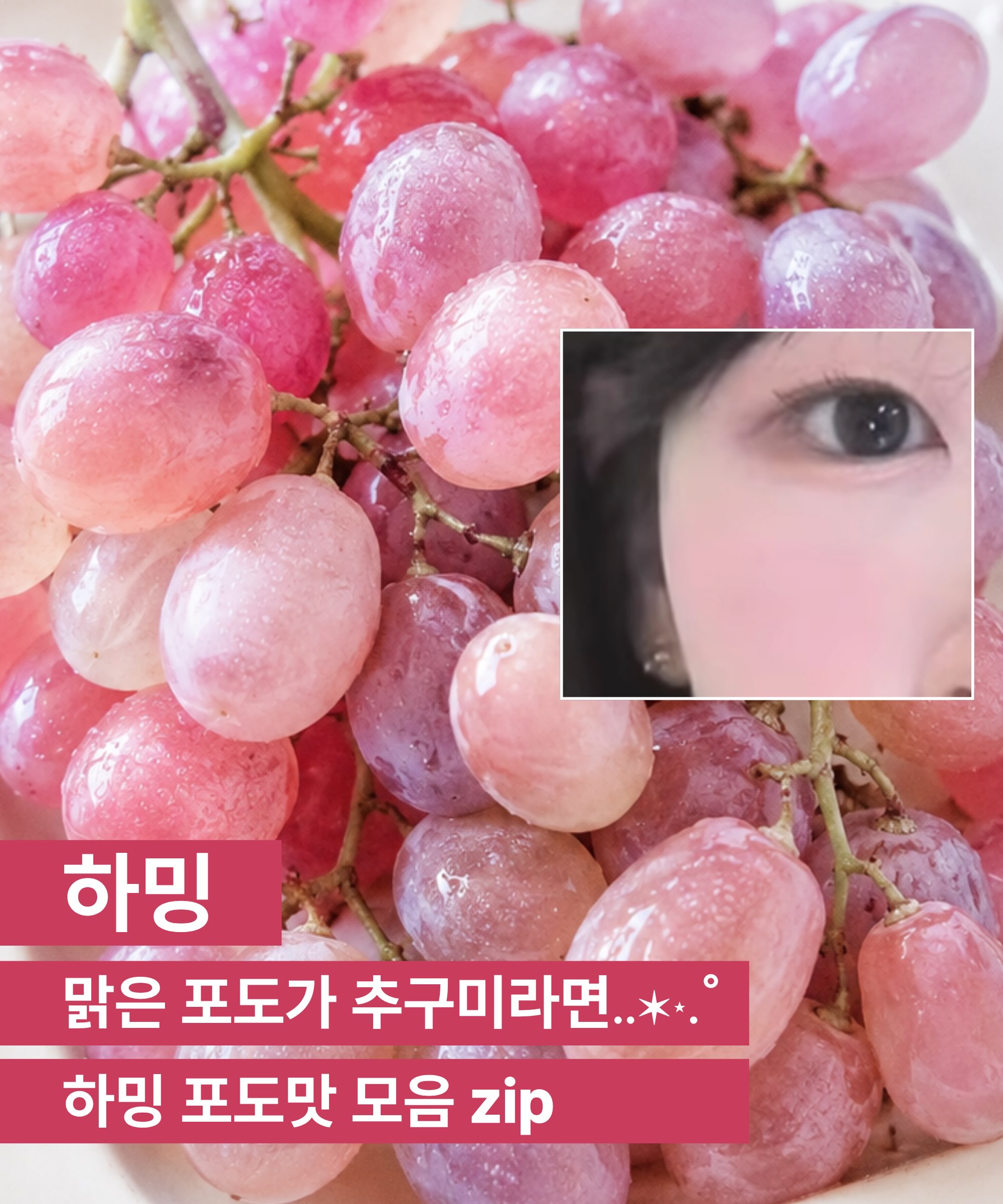 haming.official 品牌动态