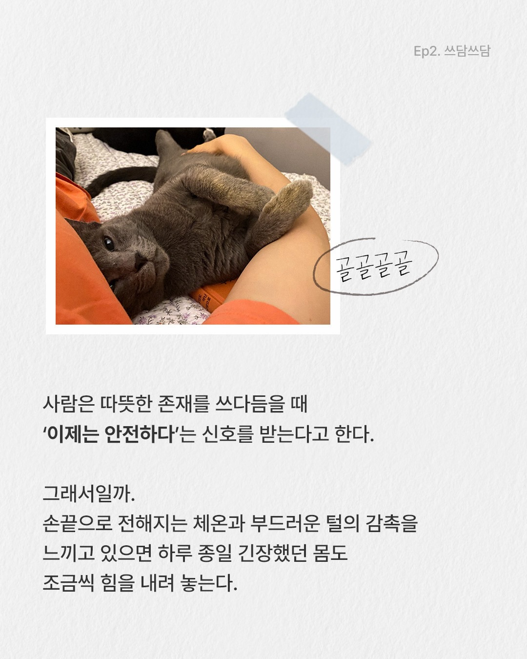 brka.official 品牌动态图片