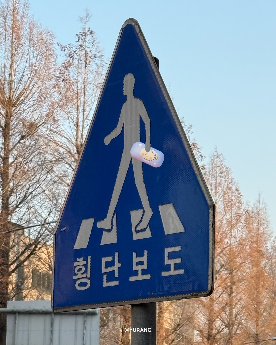 beplain_official 品牌动态图片