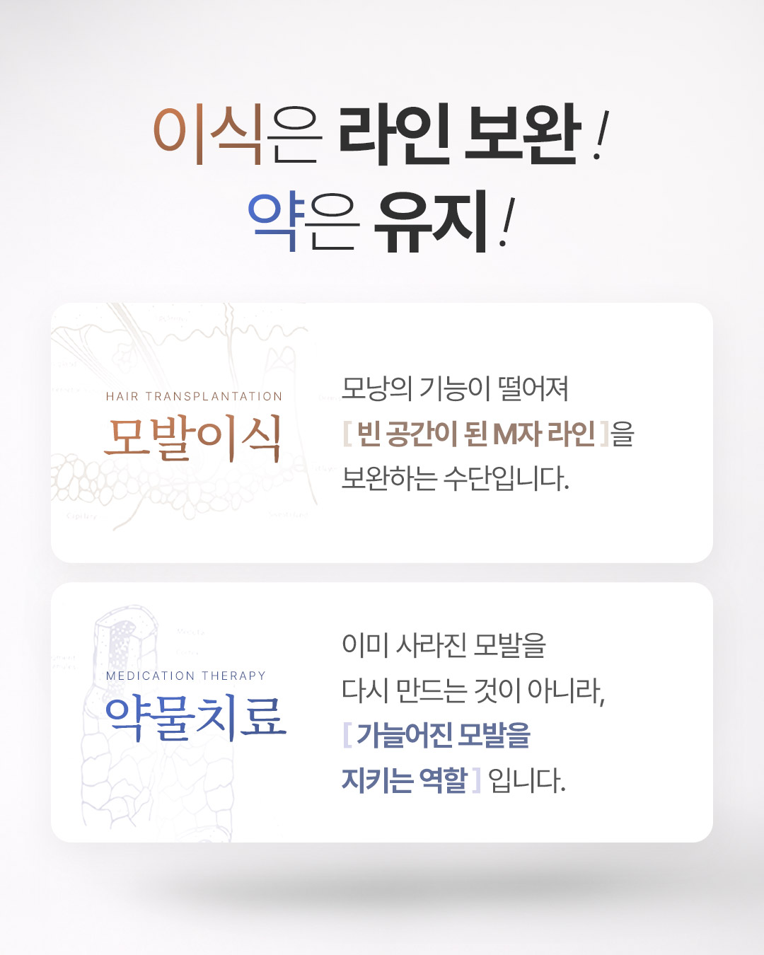 mojelim_hair 品牌动态图片