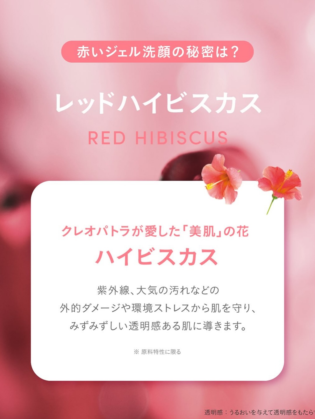 lagom_tokyo 品牌动态图片