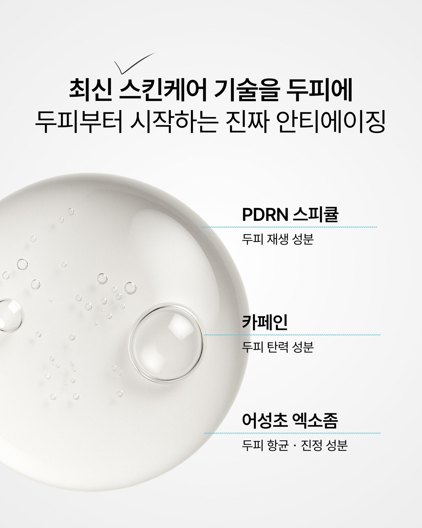 nesh.kr 品牌动态图片