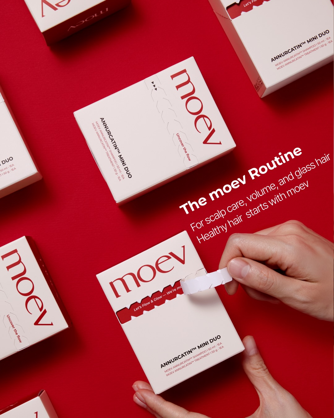 moev_global 品牌动态图片