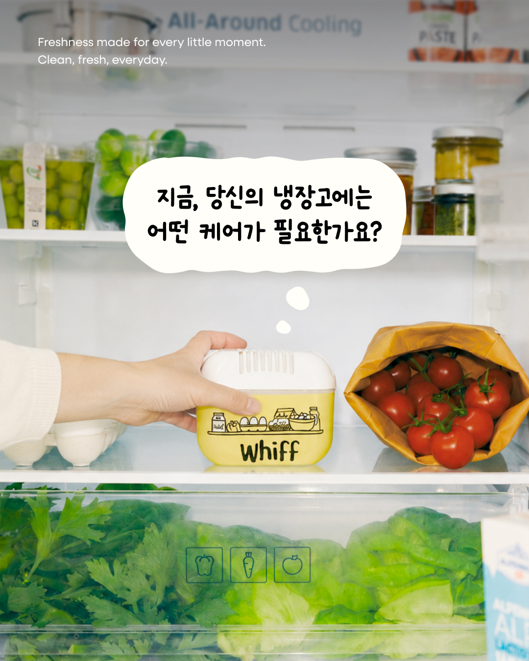 whiff.korea 品牌动态图片