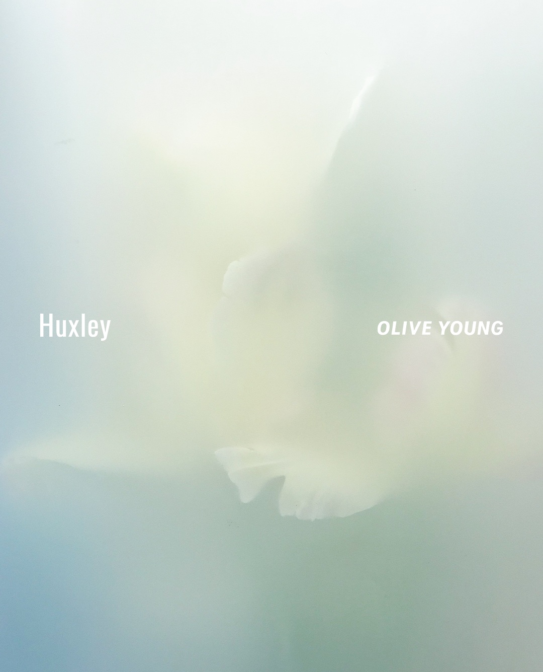 huxley_korea 品牌动态