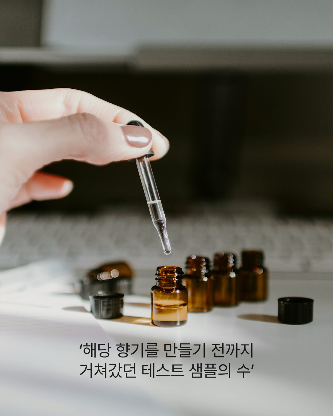 duftndoft 品牌动态图片