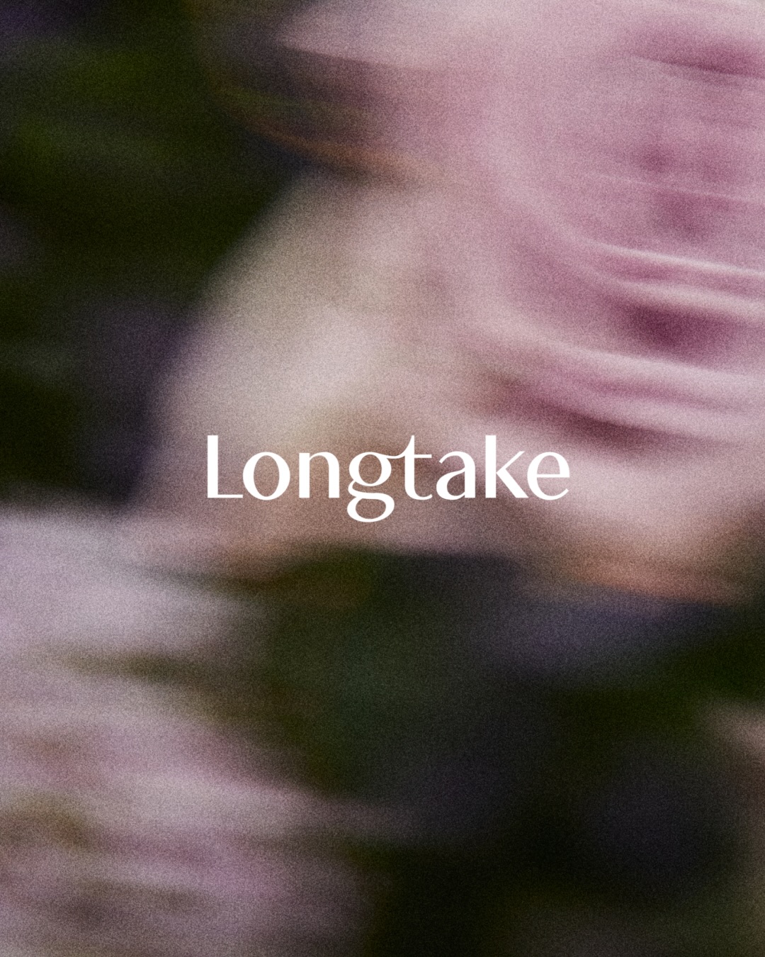 longtake_official 品牌动态