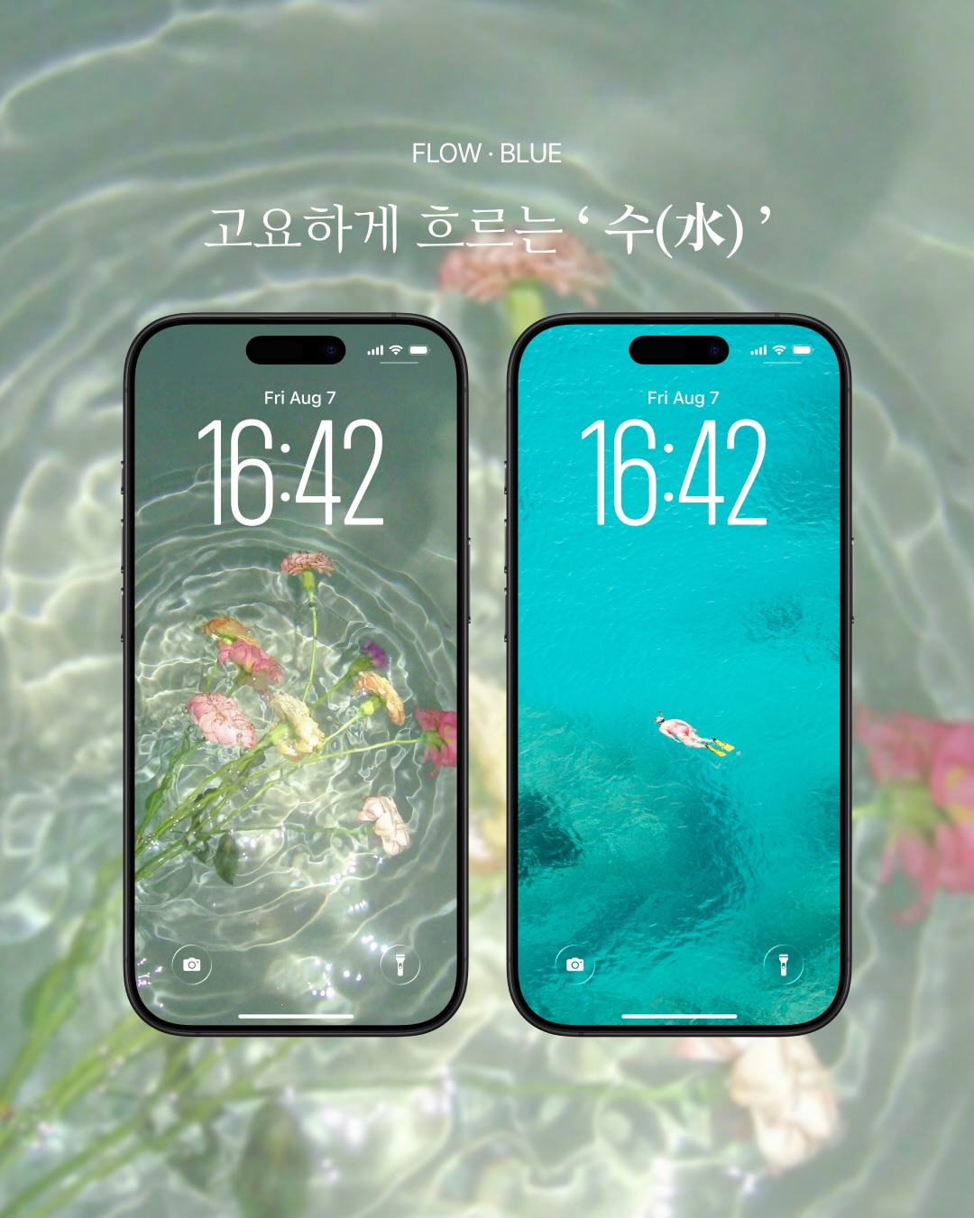 wbl_korea 品牌动态图片