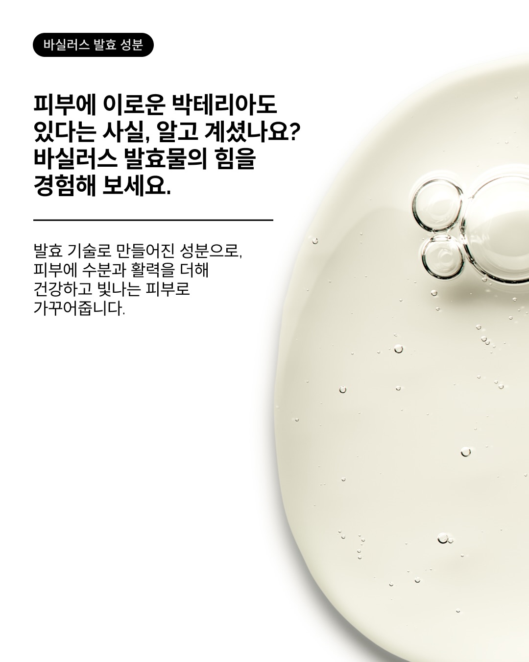 theordinarykorea 品牌动态图片