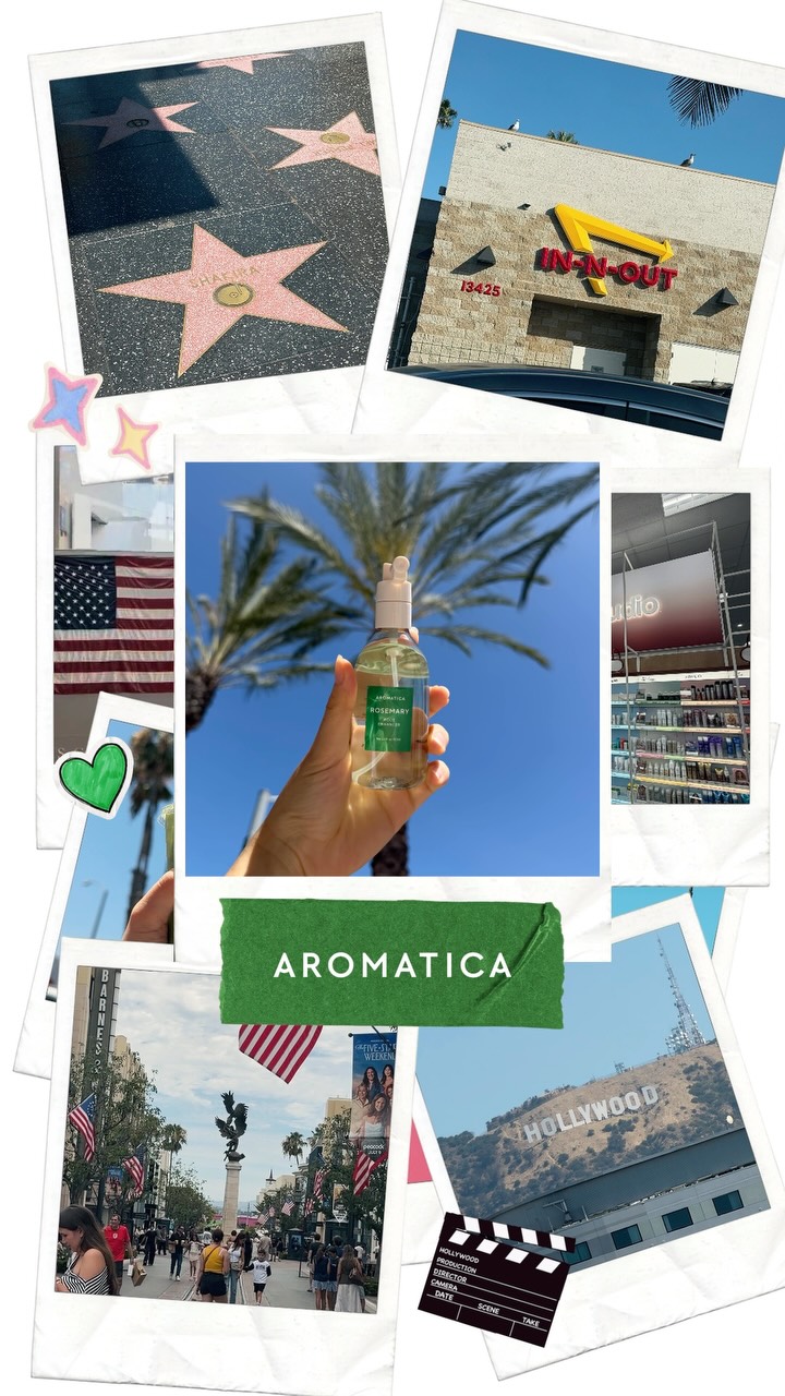 aromatica.global 视频封面