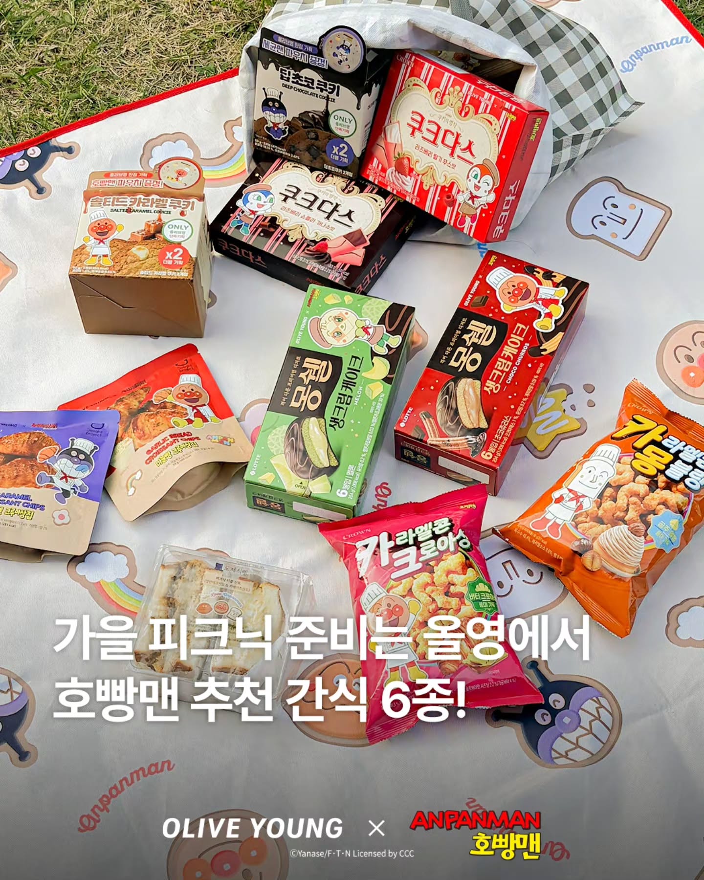 oliveyoung_official 品牌动态