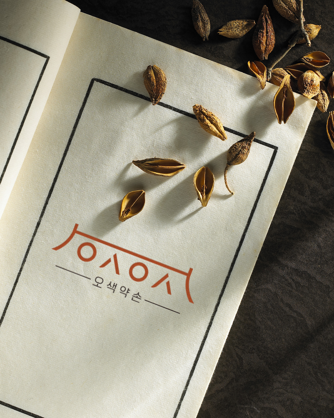 oseque_official 品牌动态