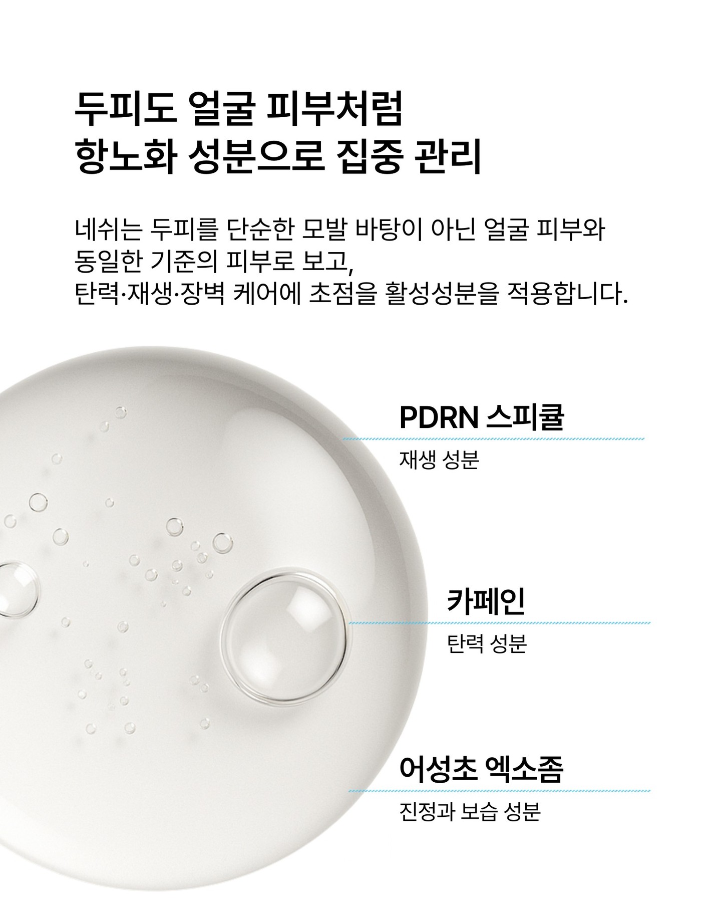 nesh.kr 品牌动态图片