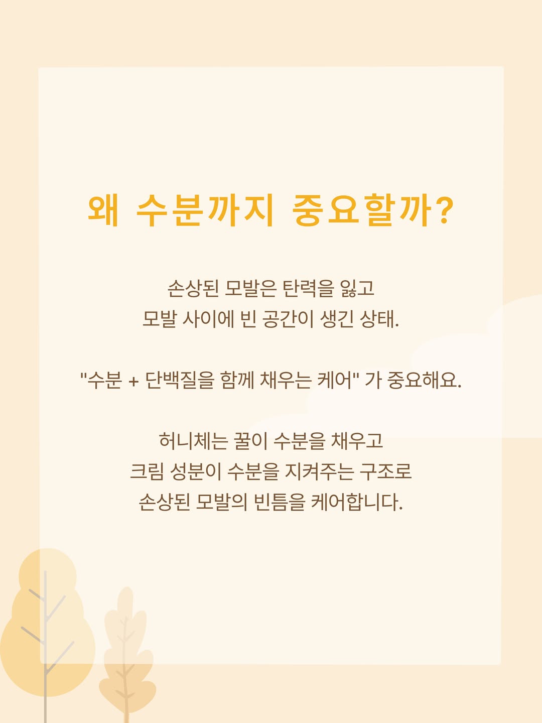 honeyce8_kr 品牌动态图片
