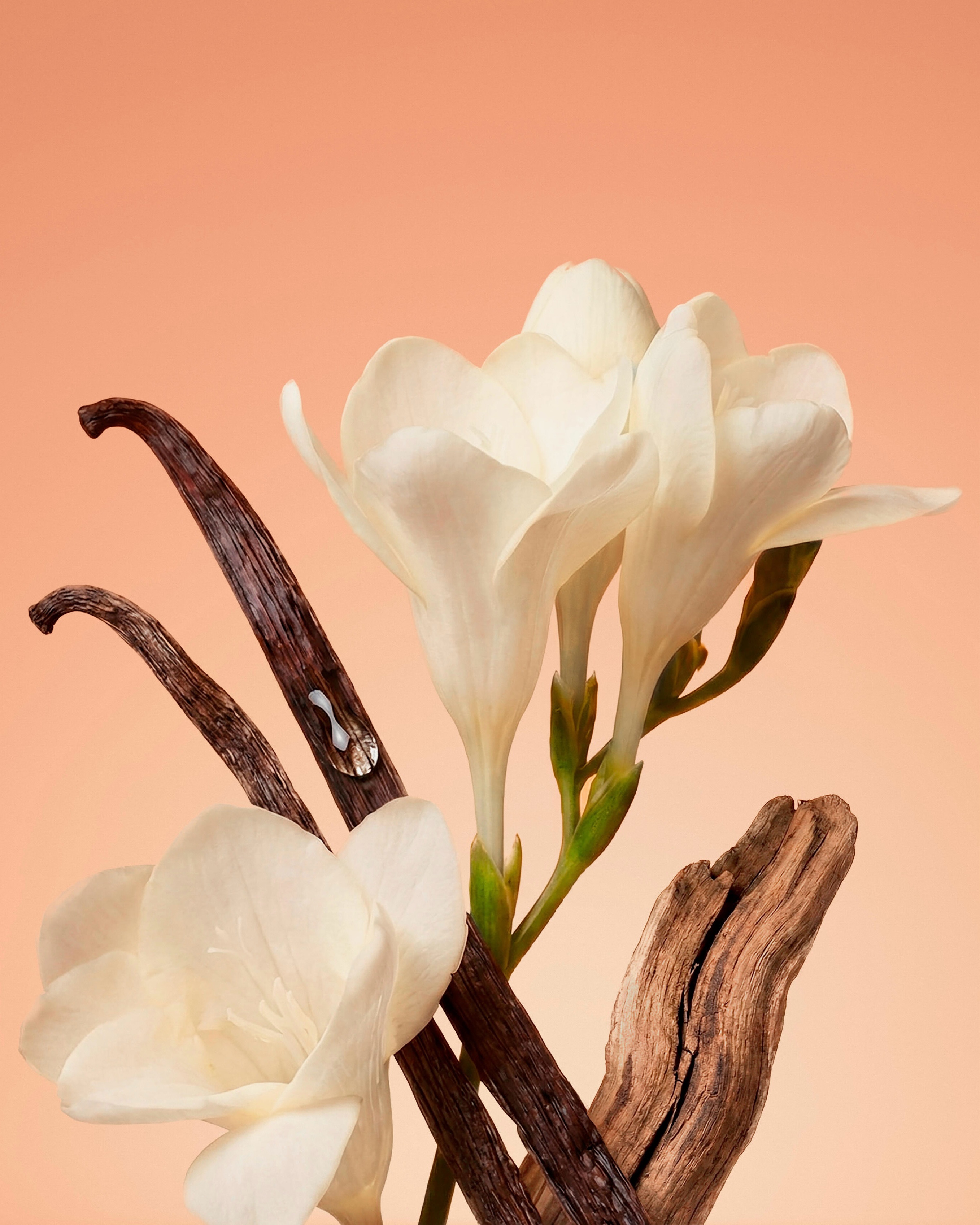 lovephilosophy 品牌动态图片