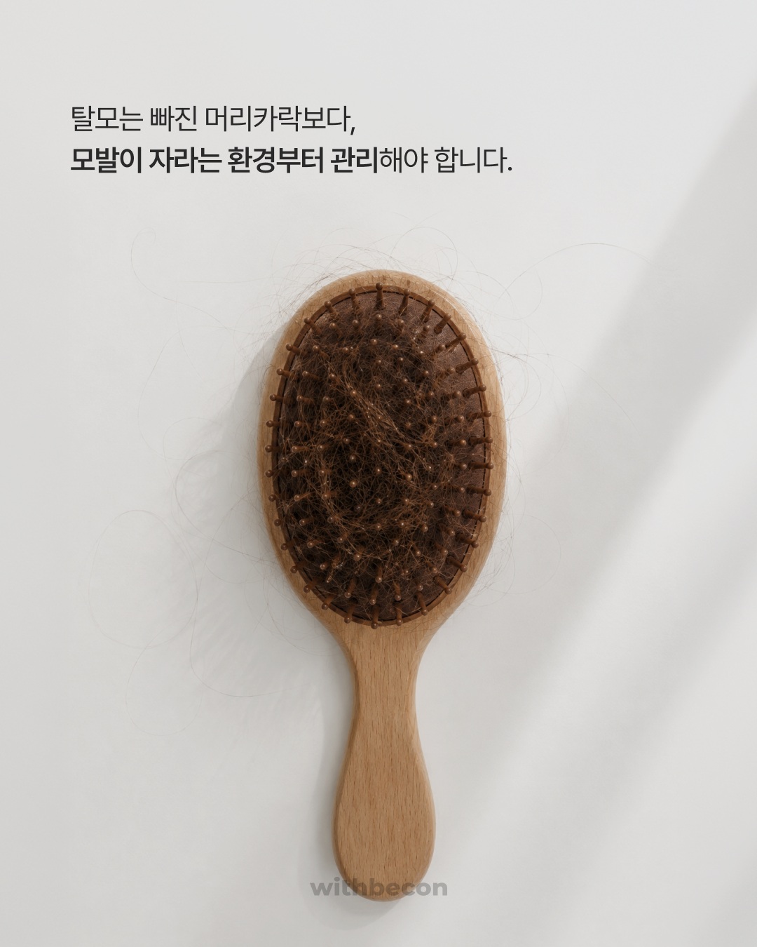 withbecon 品牌动态图片