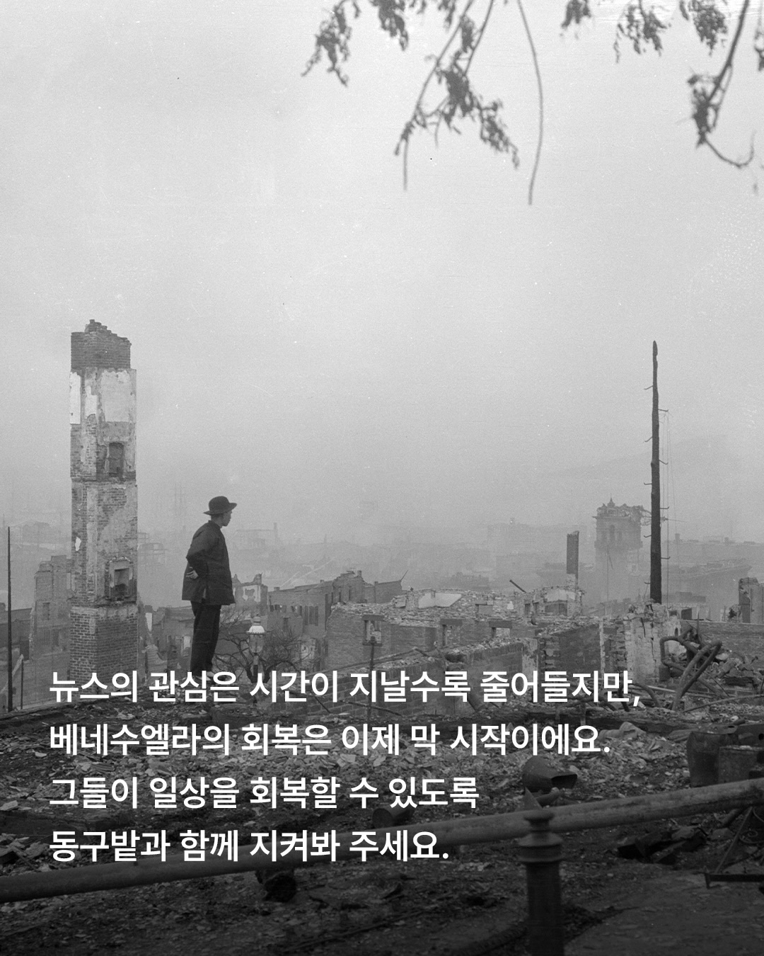 donggubat_story 品牌动态图片