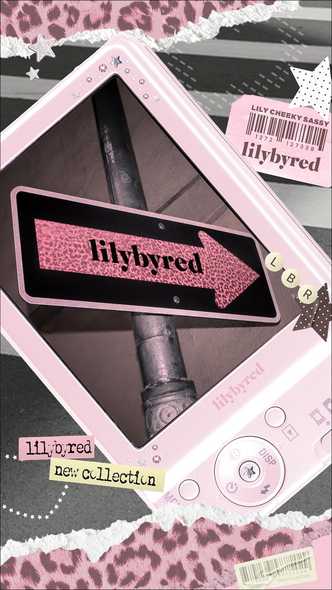 lilybyred_official 品牌动态