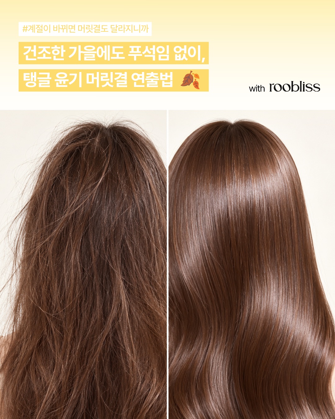 roobliss.official 品牌动态