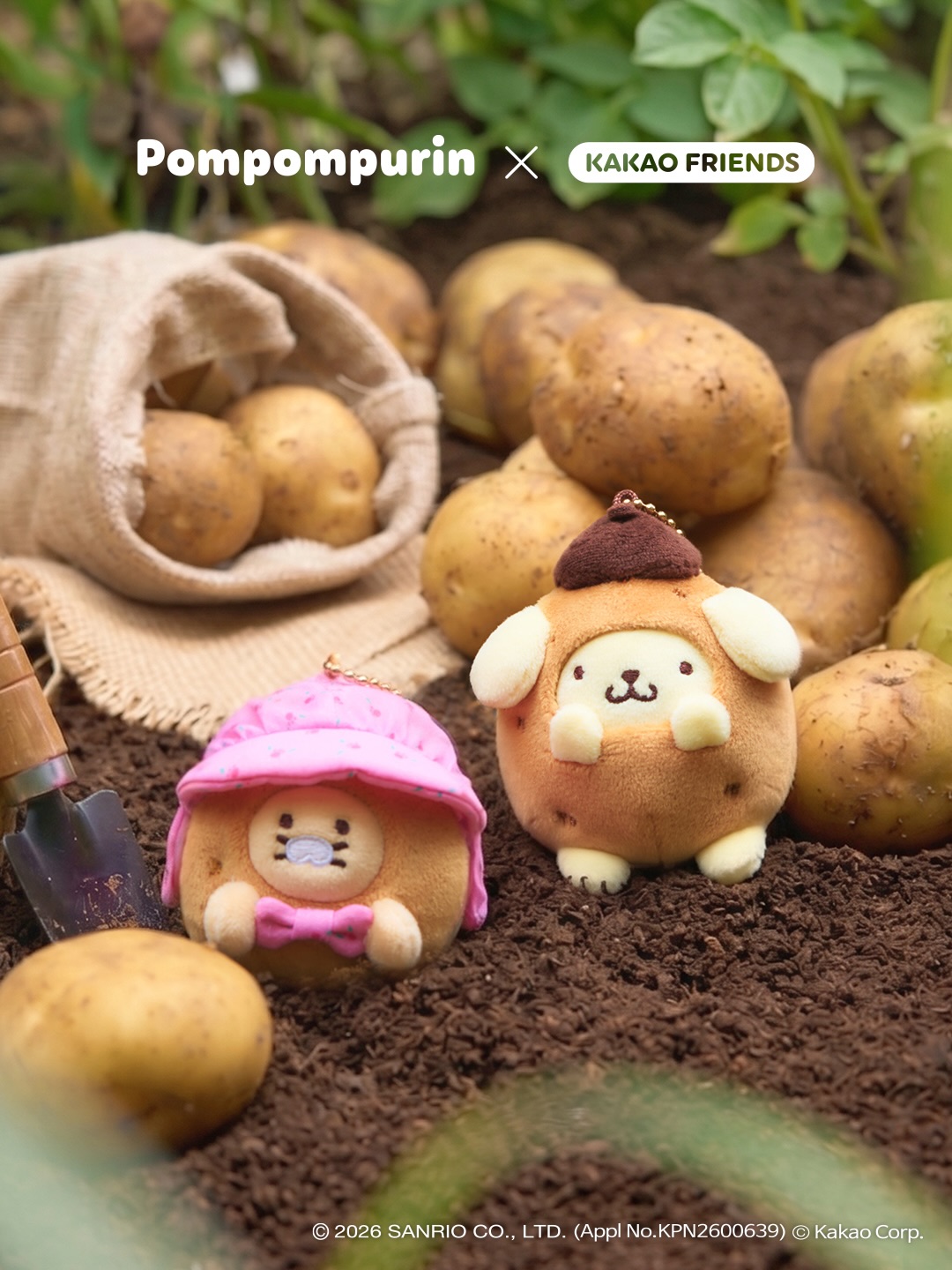 kakaofriends_official 品牌动态图片