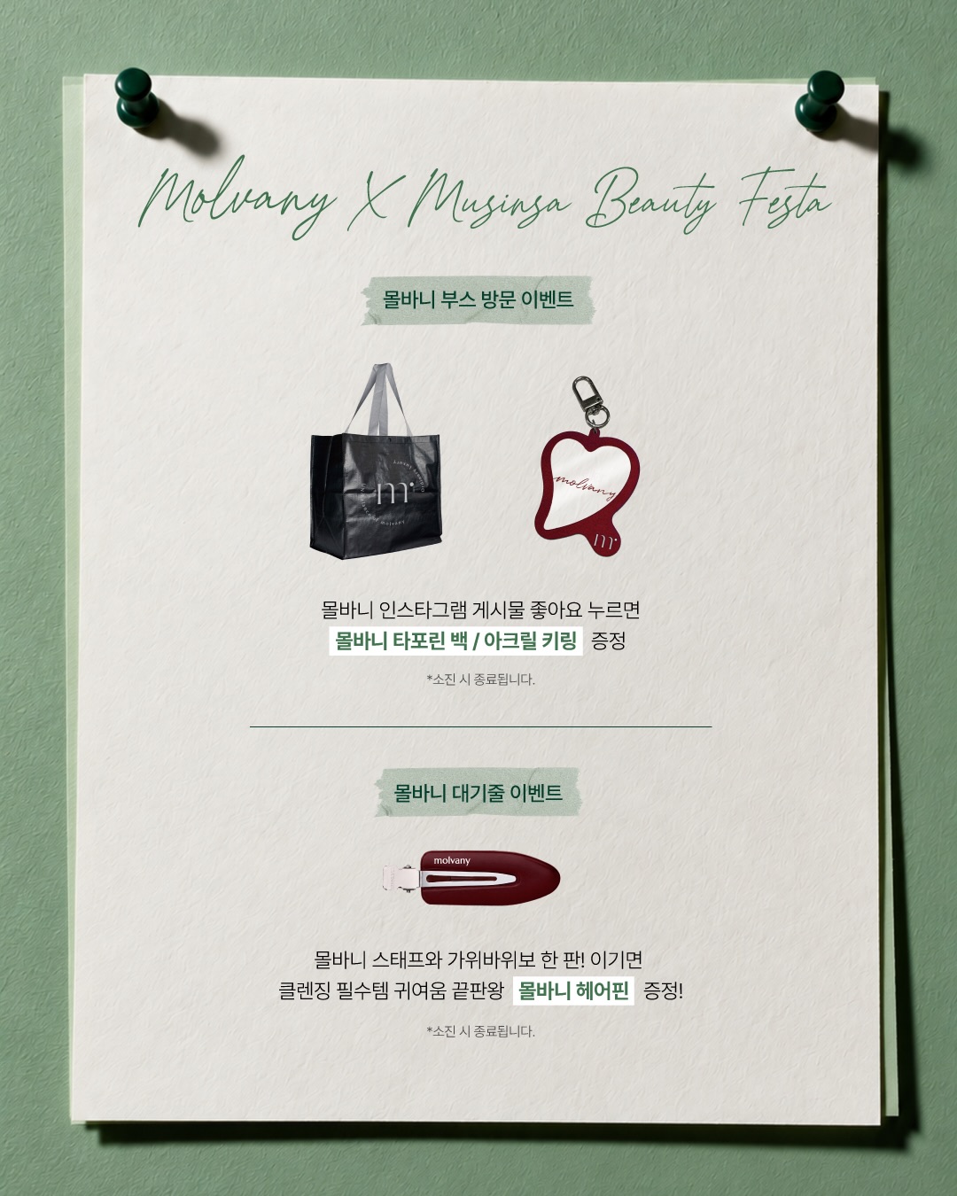 molvany_official 品牌动态图片