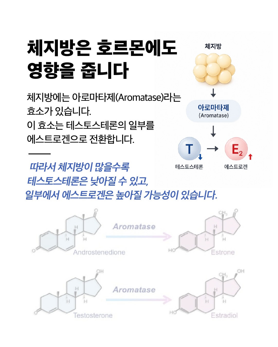 jambaekee_official 品牌动态图片