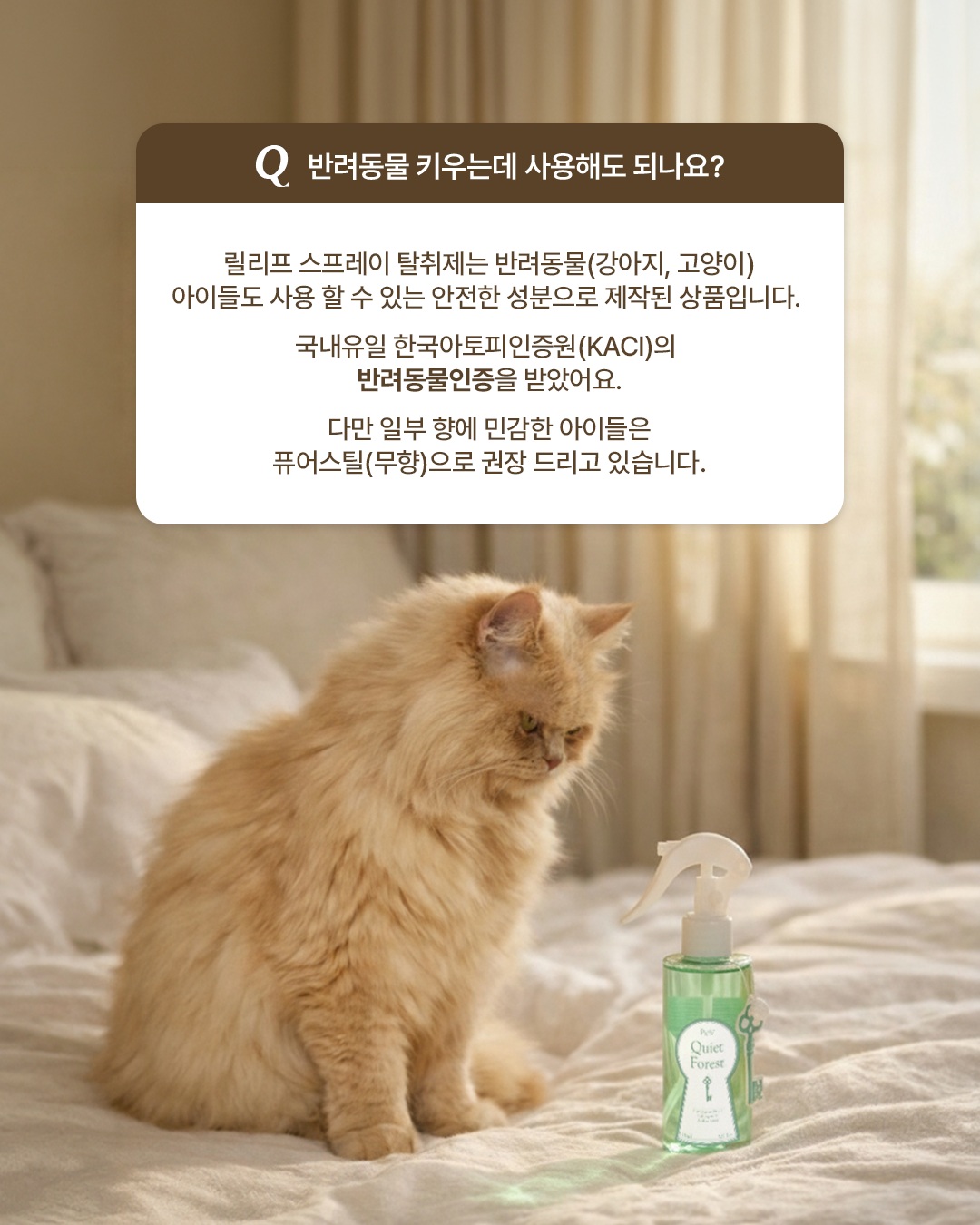piev.official 品牌动态图片