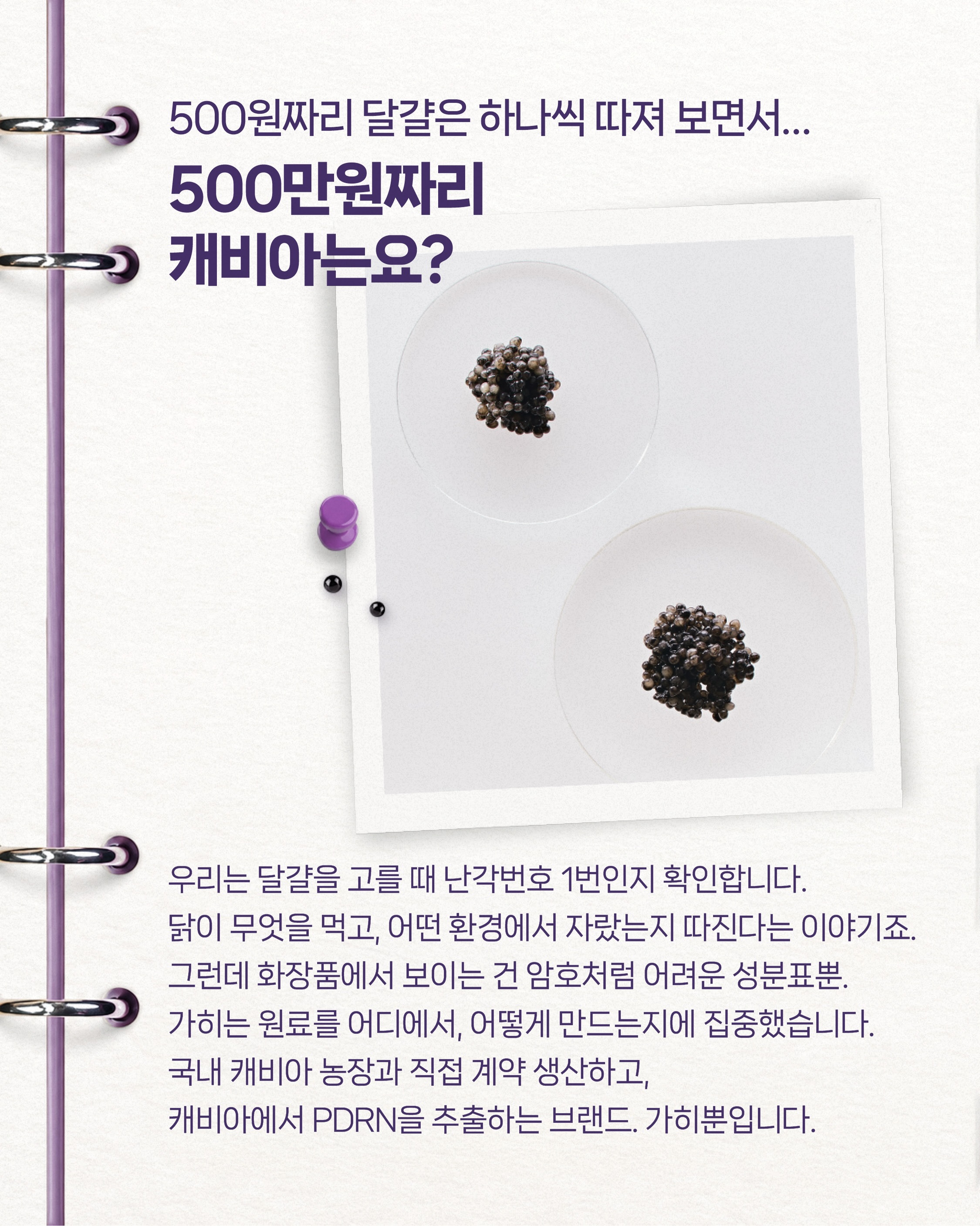 kahi_official 品牌动态图片