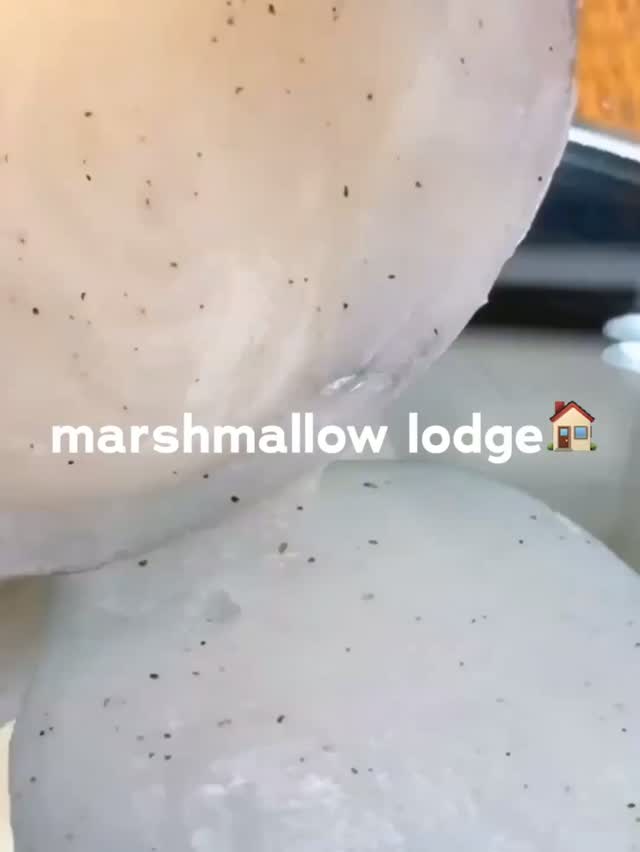 treehut 视频封面