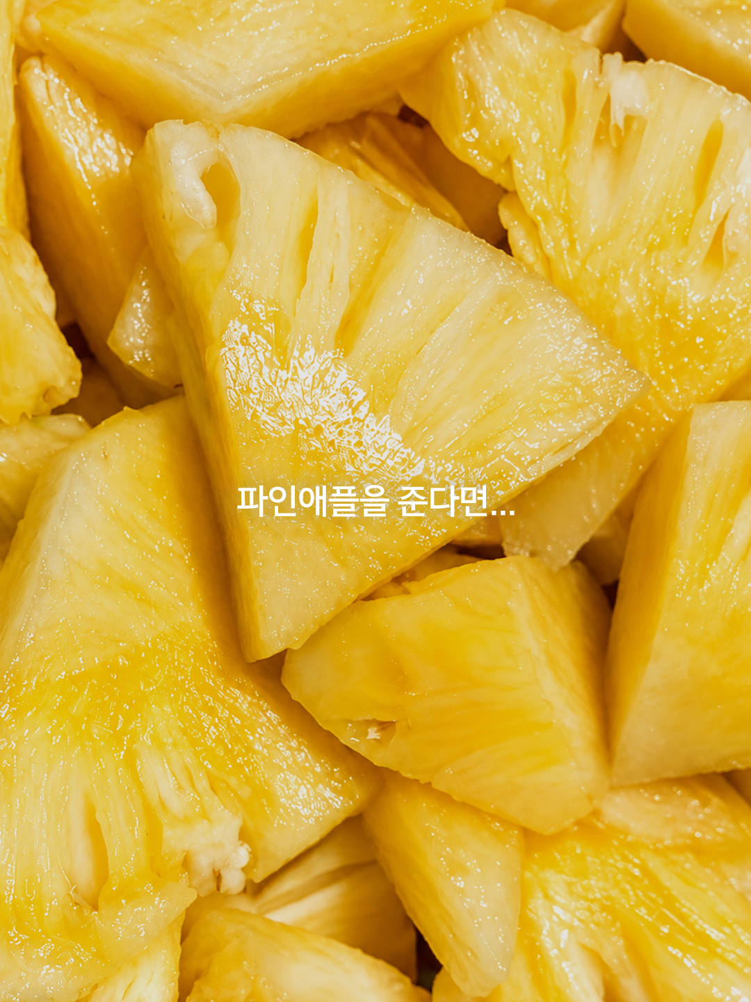 greenmonster.kr 品牌动态图片