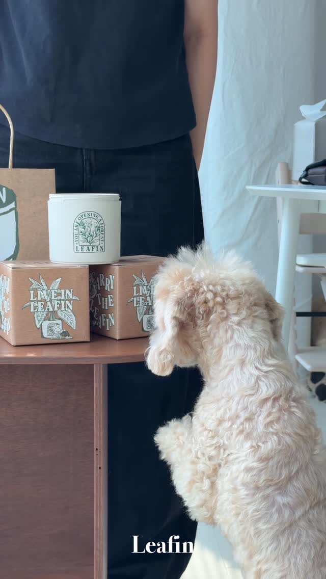 leafin.official 品牌动态