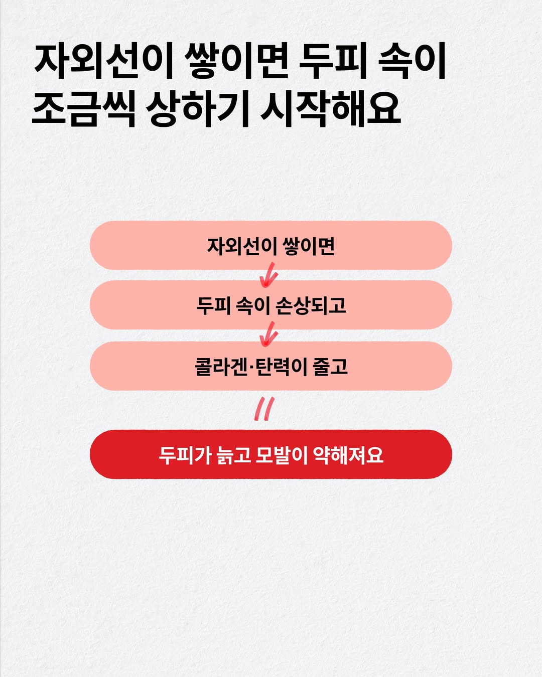 drforhair.kr 品牌动态图片
