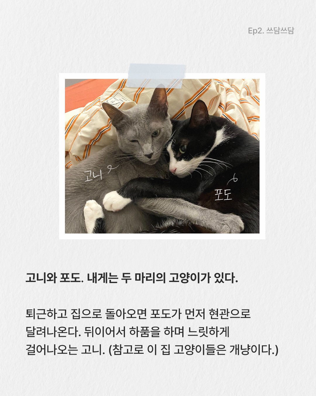 brka.official 品牌动态图片