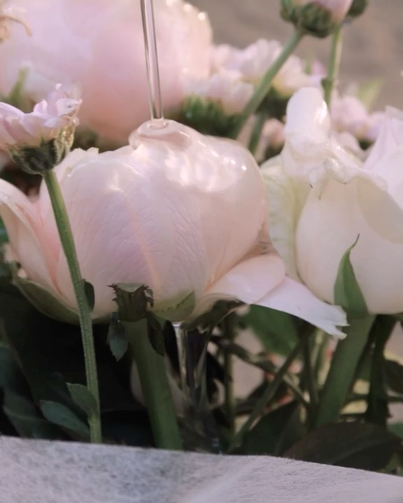 lovefleur.official 视频封面