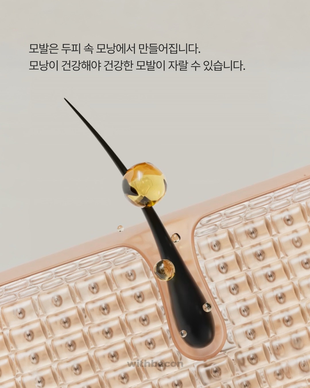 withbecon 品牌动态图片