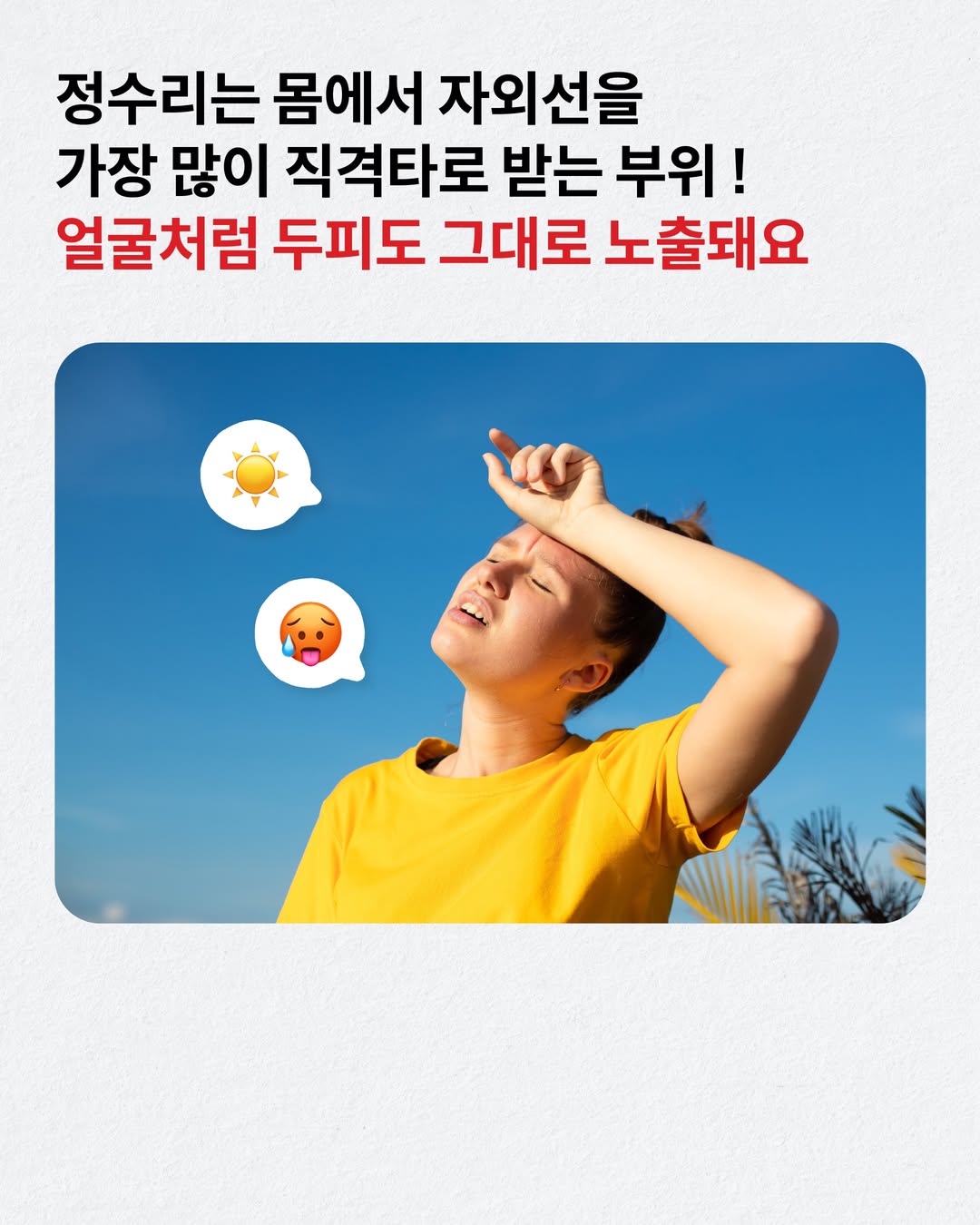 drforhair.kr 品牌动态图片
