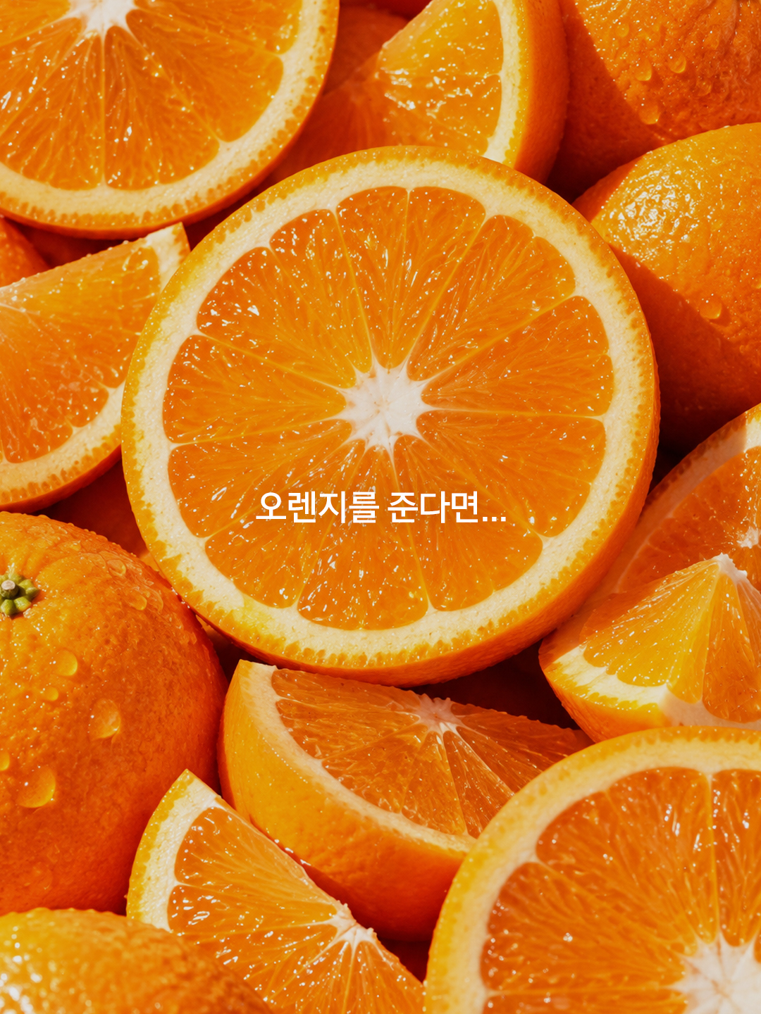 greenmonster.kr 品牌动态图片