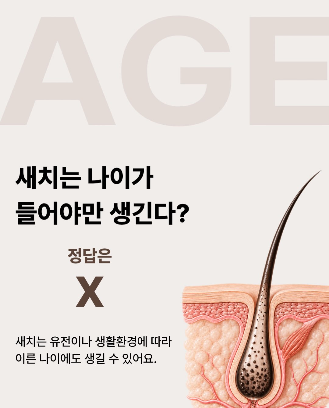 modamoda_hair 品牌动态图片