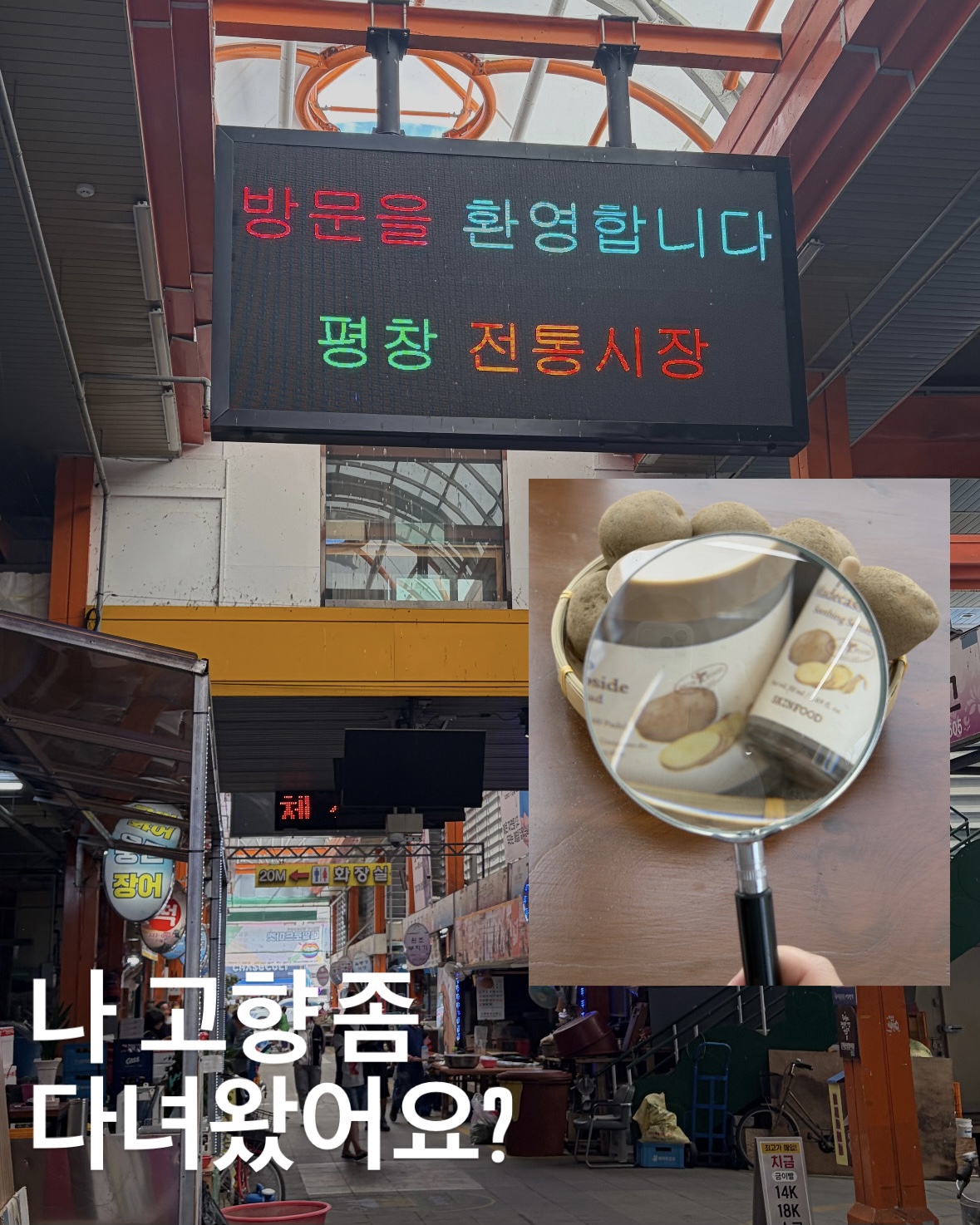 skinfood_official 品牌动态
