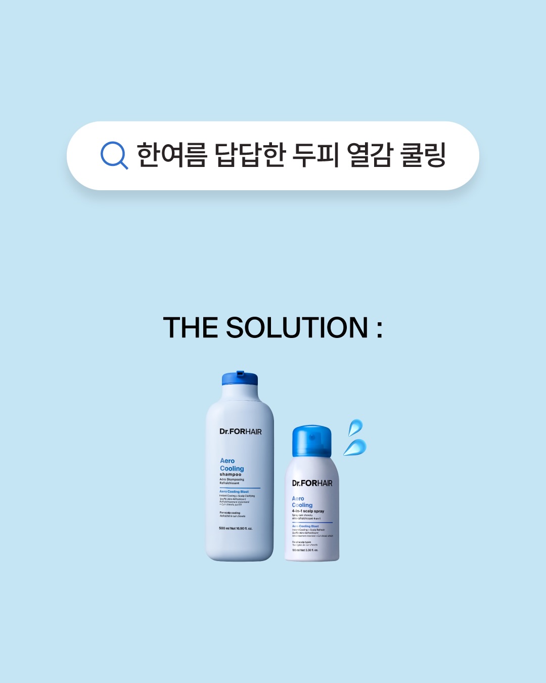 drforhair.kr 品牌动态图片