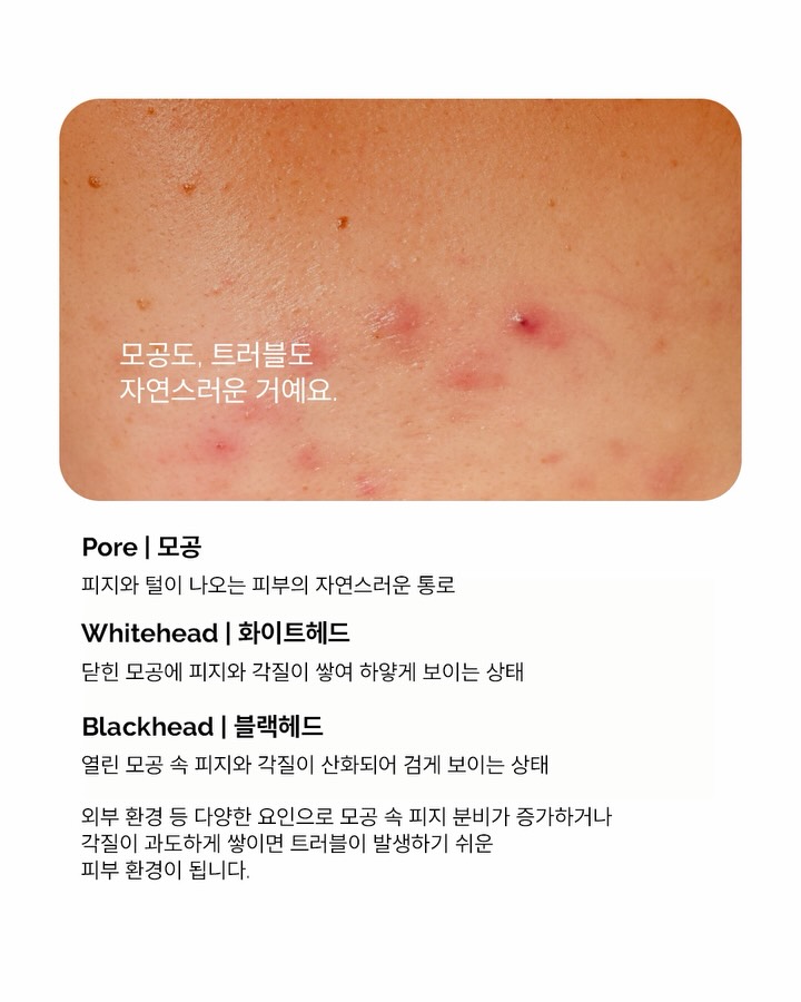 theordinarykorea 视频封面