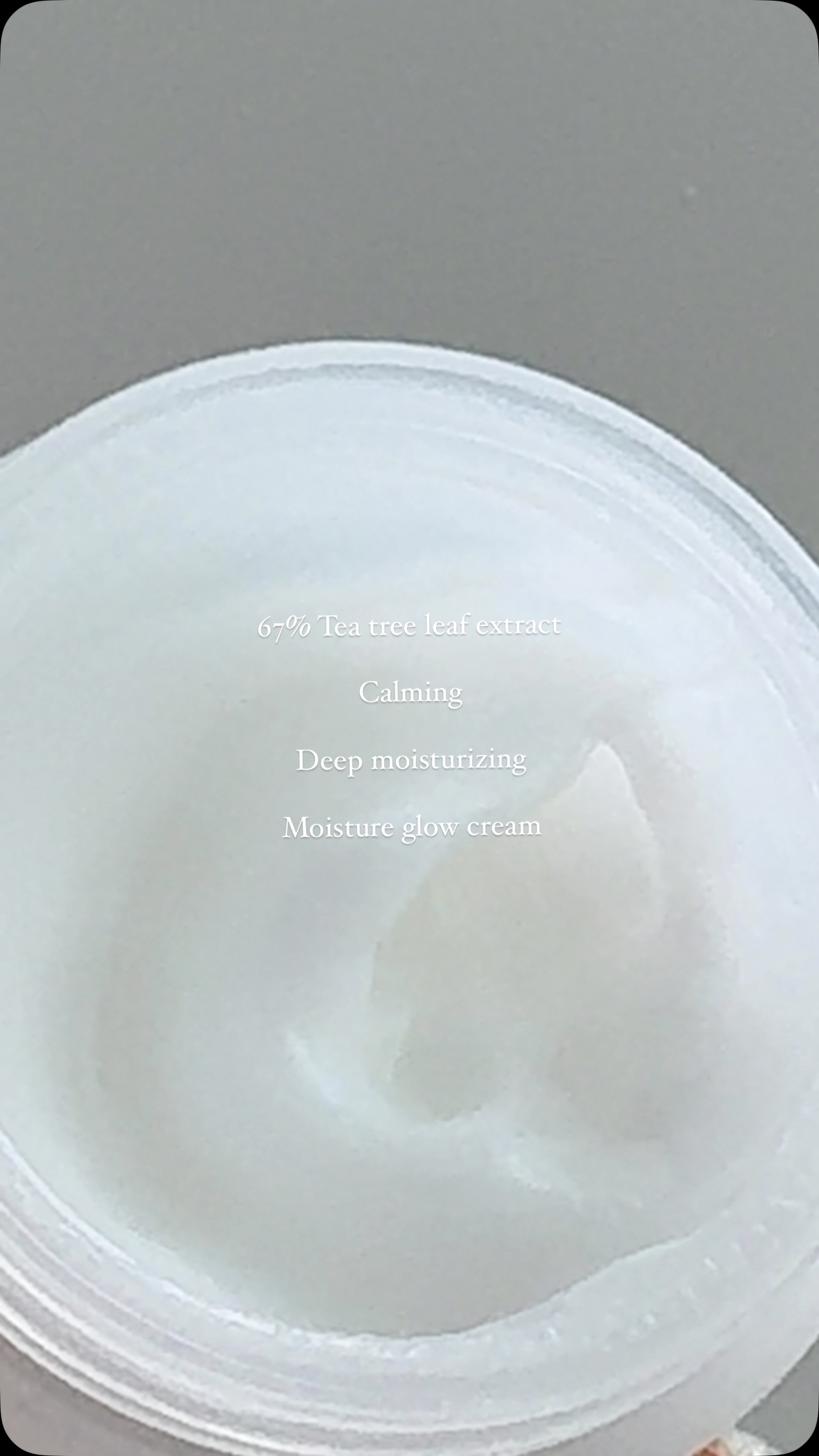 yourvegan.official 品牌动态