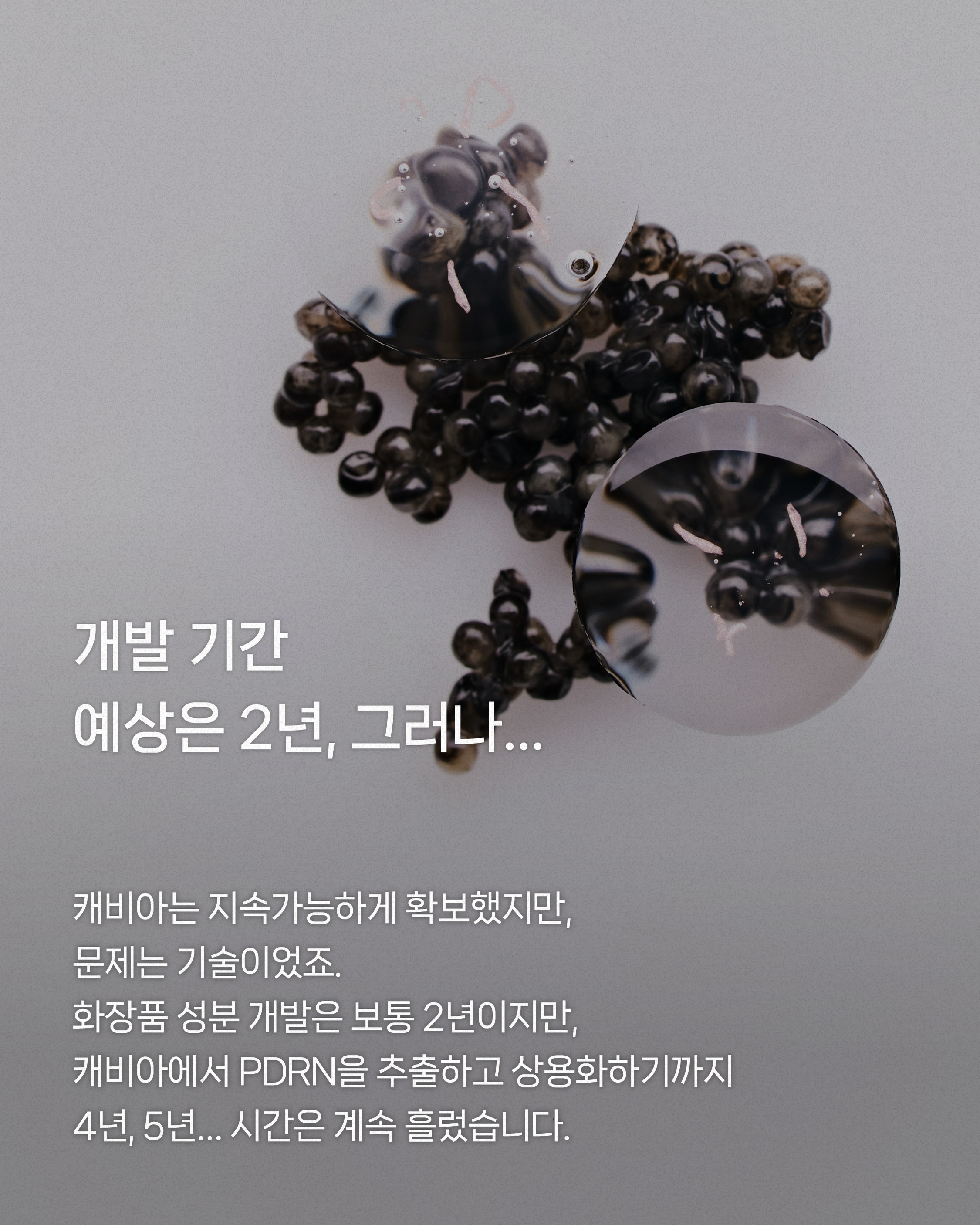 kahi_official 品牌动态图片