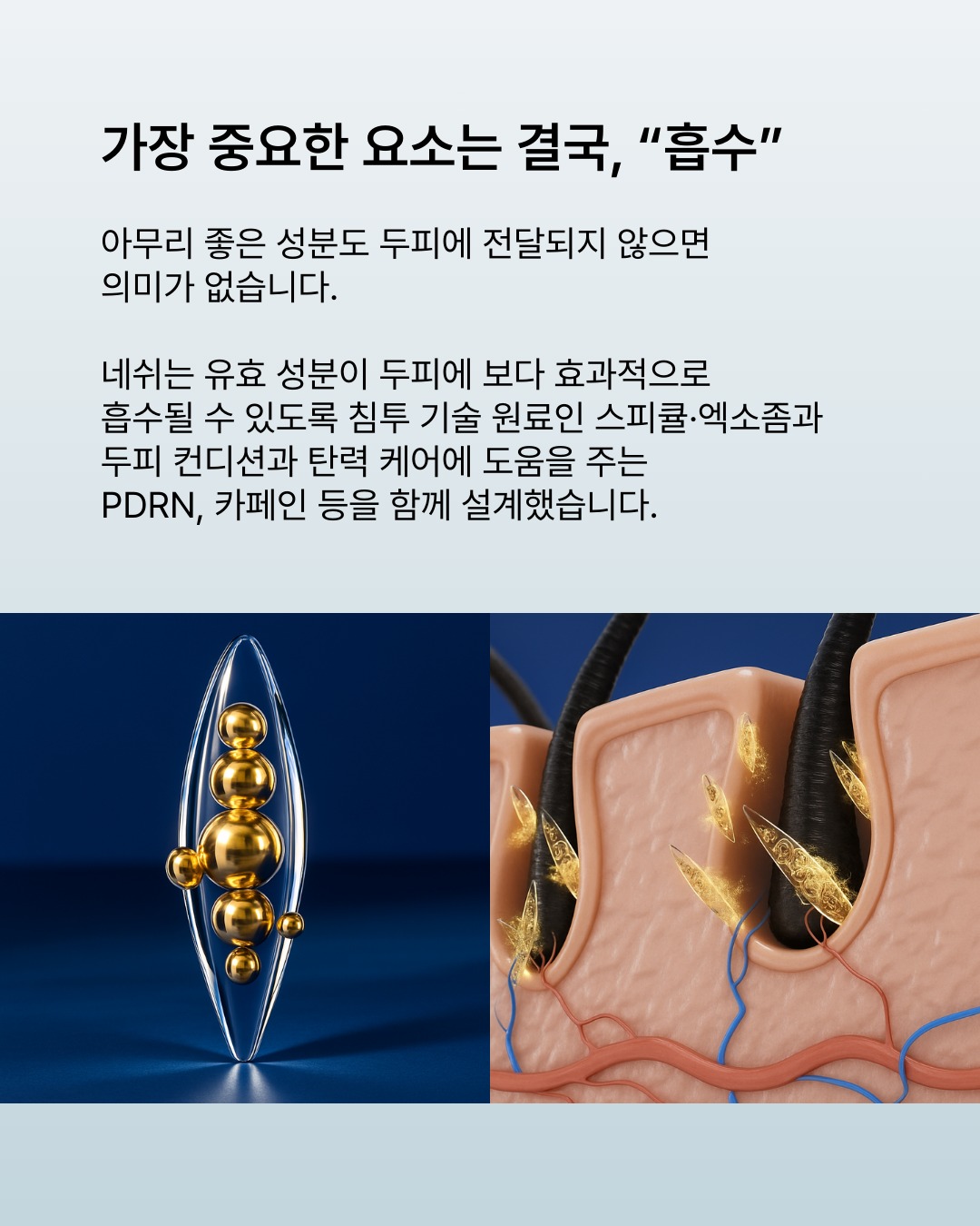 nesh.kr 品牌动态图片