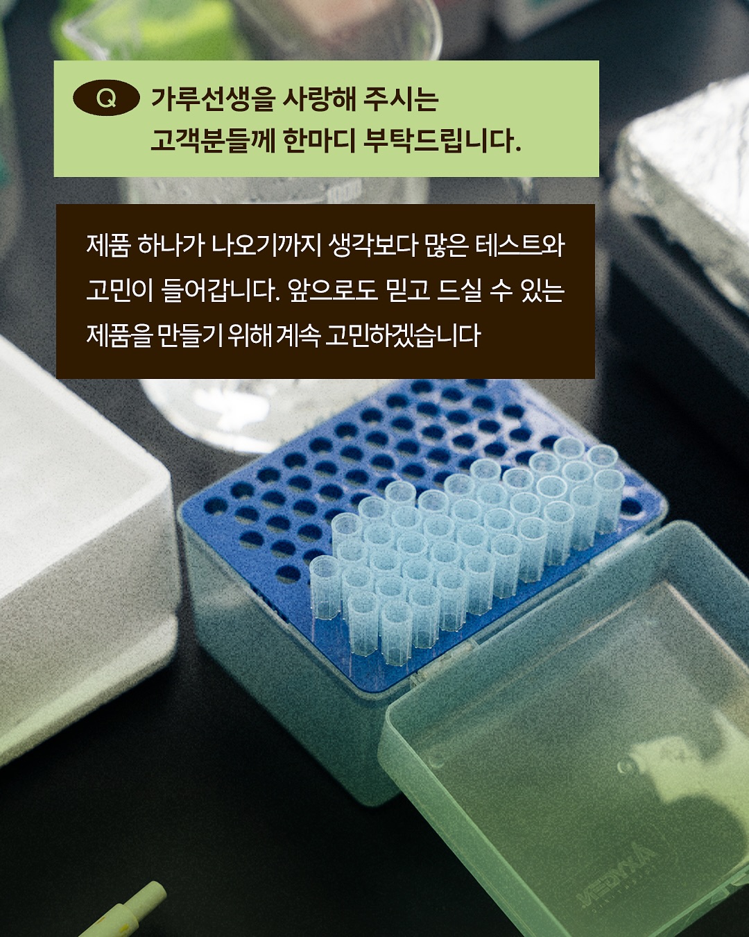 garumaster 品牌动态图片
