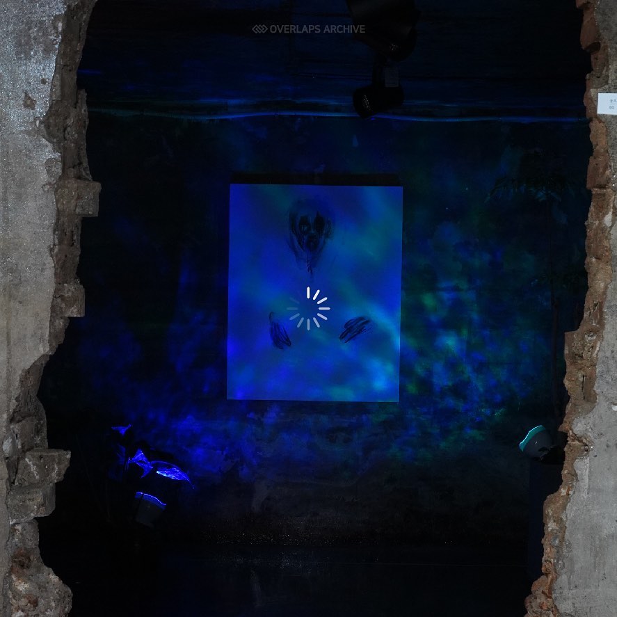 overlaps.kr 品牌动态图片