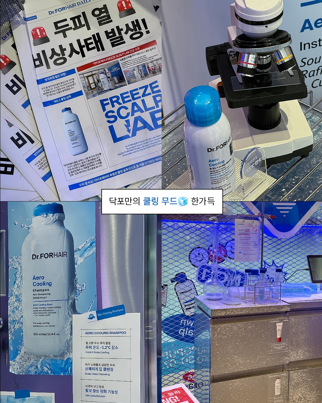 drforhair.kr 品牌动态图片